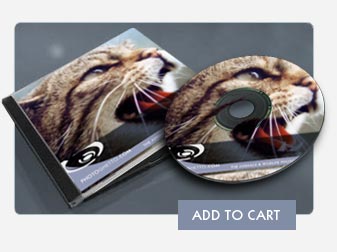 Select a checkbox below to add 
The Animals & Wildlife Photo Collection
to your Shopping Cart