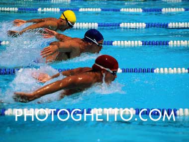 Swimming Photo Image