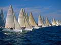 Regatta Yacht Race